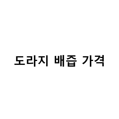 환절기 건강 챙기기! 달콤한 착즙도라지배즙으로 강력한 면역력 유지하기