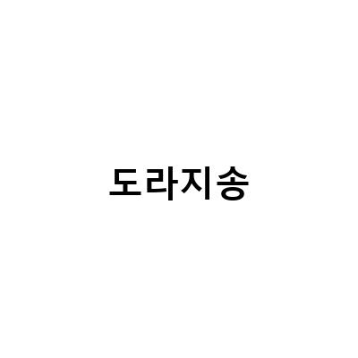 백암산 등반 후 곤 투모로우 콘서트와 도라지 체험기