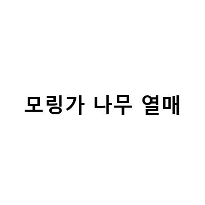 킹벤자민고무나무 열매와 모링가 공심채, 롱다리 콩나물, 아프리카 모링가나무 열매로 만나는 건강한 라이프스타일