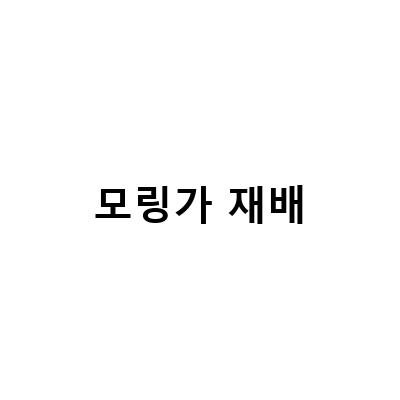 국내 첫 모링가 재배 성공! 순천만 모링가 공동경작 시작