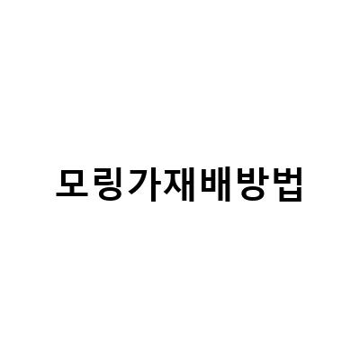 모링가 씨 오일 추출과 친환경 재배 방법 모두 알아보기