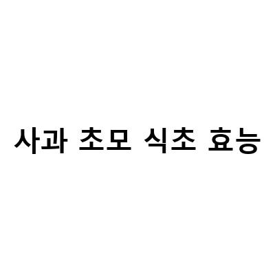 사과초모식초 가루의 효능과 먹는 방법, 자연 발효 식초 애플사이다 비니거