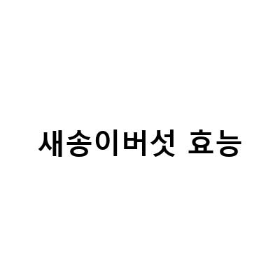 아삭이고추, 새송이버섯, 부추 효능과 보관 방법, 새송이버섯 부작용에 대해 알아보자!