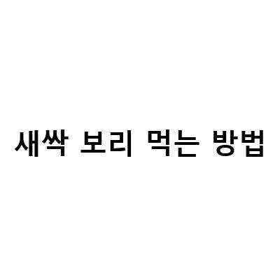 새싹보리 다이어트, 건강한 살 빼는 방법과 효능