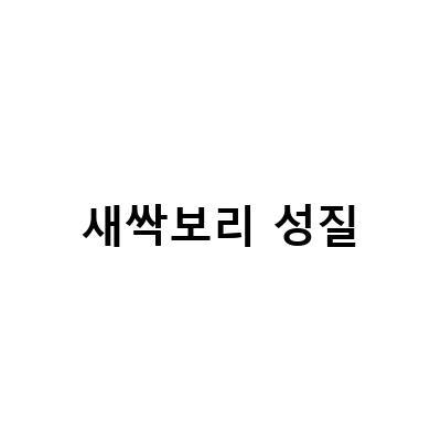 새싹보리 다이어트, 내장지방 제거와 콜레스테롤 개선의 효과!