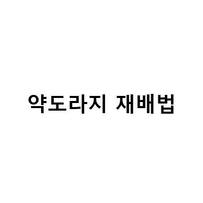 약 도라지 재배법 – 생육, 관리, 잡초관리, 수확 시기, 용기재배법