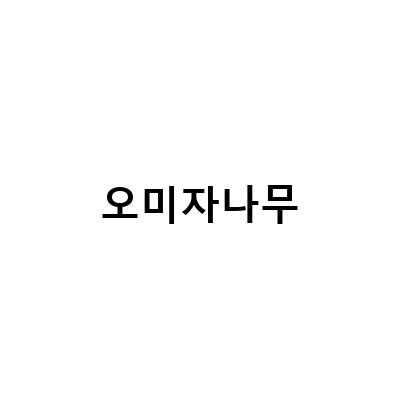 오미자나무 키우기와 효능, 대청계곡에서 즐기는 오미자차와 당근케이크