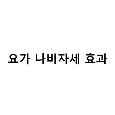 나비 비둘기 요가로 확실한 다이어트 효과! 운동 효과와 자세 교정까지 챙기는 아리아요가 야탑역점