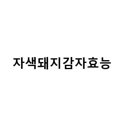 당뇨에 좋은 자색돼지감자, 이눌린과 유기농 말린 돼지감자차로 원기회복!