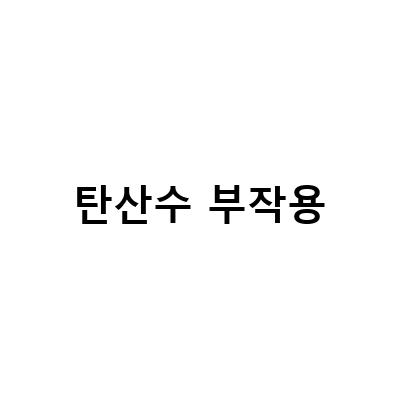 탄산수 부작용과 효능, 사우동치과의 전문가가 알려주는 치아 건강 팁