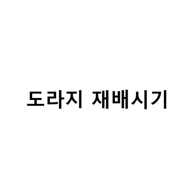 도라지 재배시기-도라지 재배와 건강 생활, 슈퍼백도라지의 효능과 재배 방법