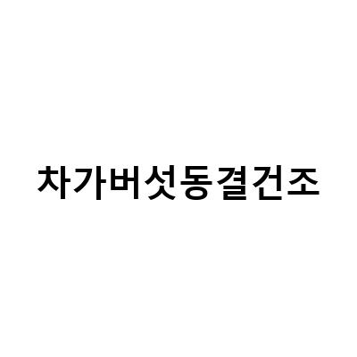 차가버섯동결건조-“시베리아 차가버섯 동결건조 분말, 면역력 증진과 항암·항염 효과로 유명한 1등급 차가버섯!”