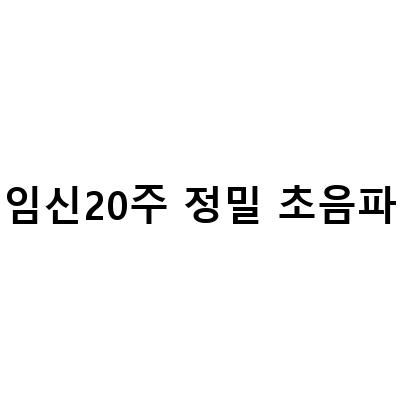 임신20주 정밀 초음파-임신 20주 정밀초음파 배크기 첫 태동 느끼는 시기 및 후기, 20주 23주 정밀초음파검사 결과