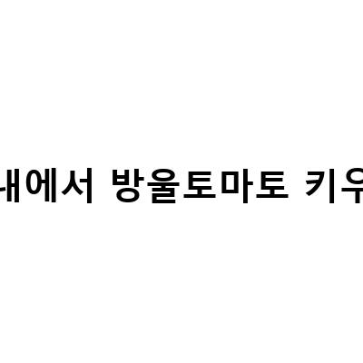 실내에서 방울토마토 키우기-실내에서 땅딸이 방울토마토 키우기: 가꾸기 집에서 상추 방울토마토 미니파프리카 실내에서 키우기